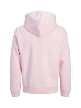 Sweat Rose Homme Jack & Jones Jordean 2
