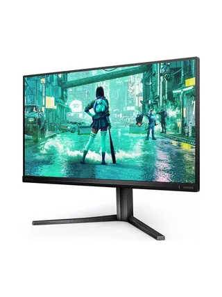 Philips Evnia 3000 25M2N3200U/00 computer monitor 10