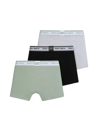 Lot de 3 Boxers Gris/Kaki Homme Teddy Smith 1TS/52/9 2