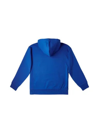 Sweat à Capuche Bleu Amande Garçon O'Neill Checker 2