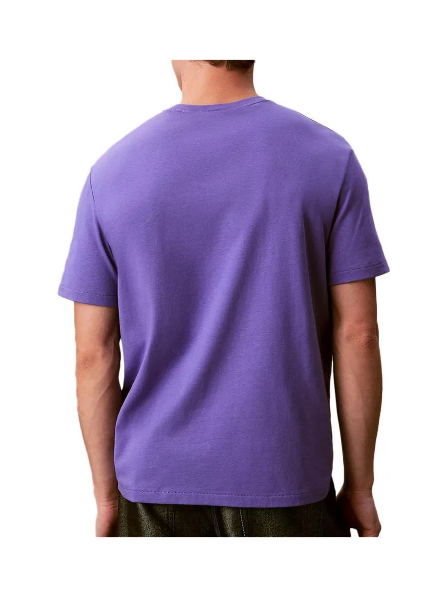 T-Shirt Violet Homme Calvin Klein Jeans Easy LV04RC275G 3
