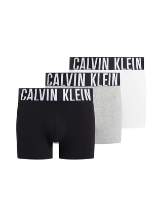 CALVIN KLEIN 000NB3608A - Lot de 3 boxers 1