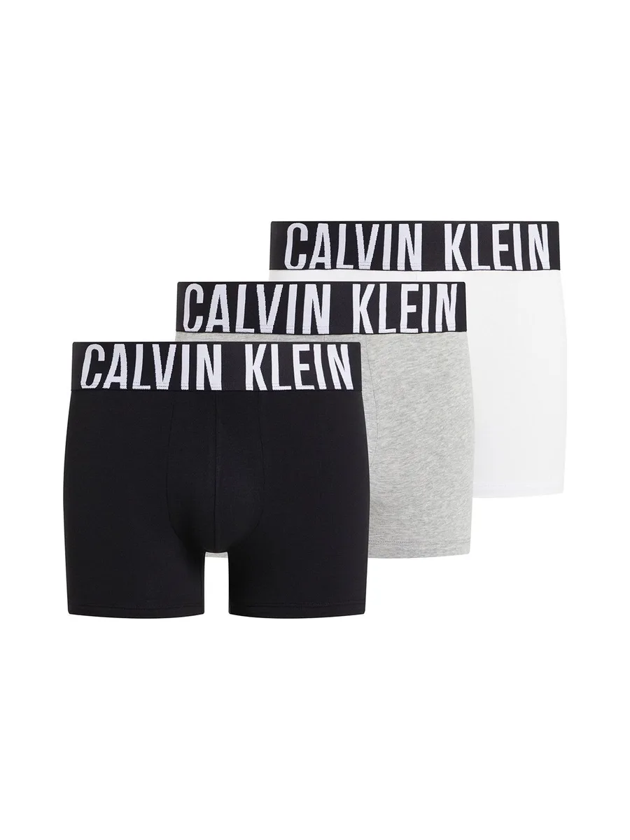 CALVIN KLEIN 000NB3608A - Lot de 3 boxers 5