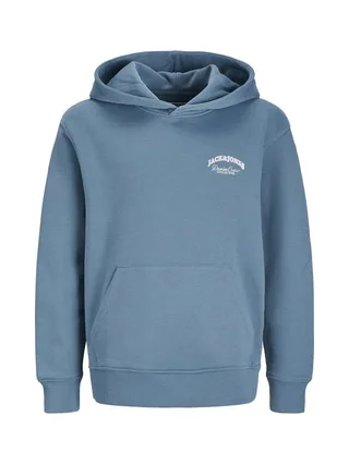 Sweat Bleu Foncé Garçon Jack & Jones Brandes 1