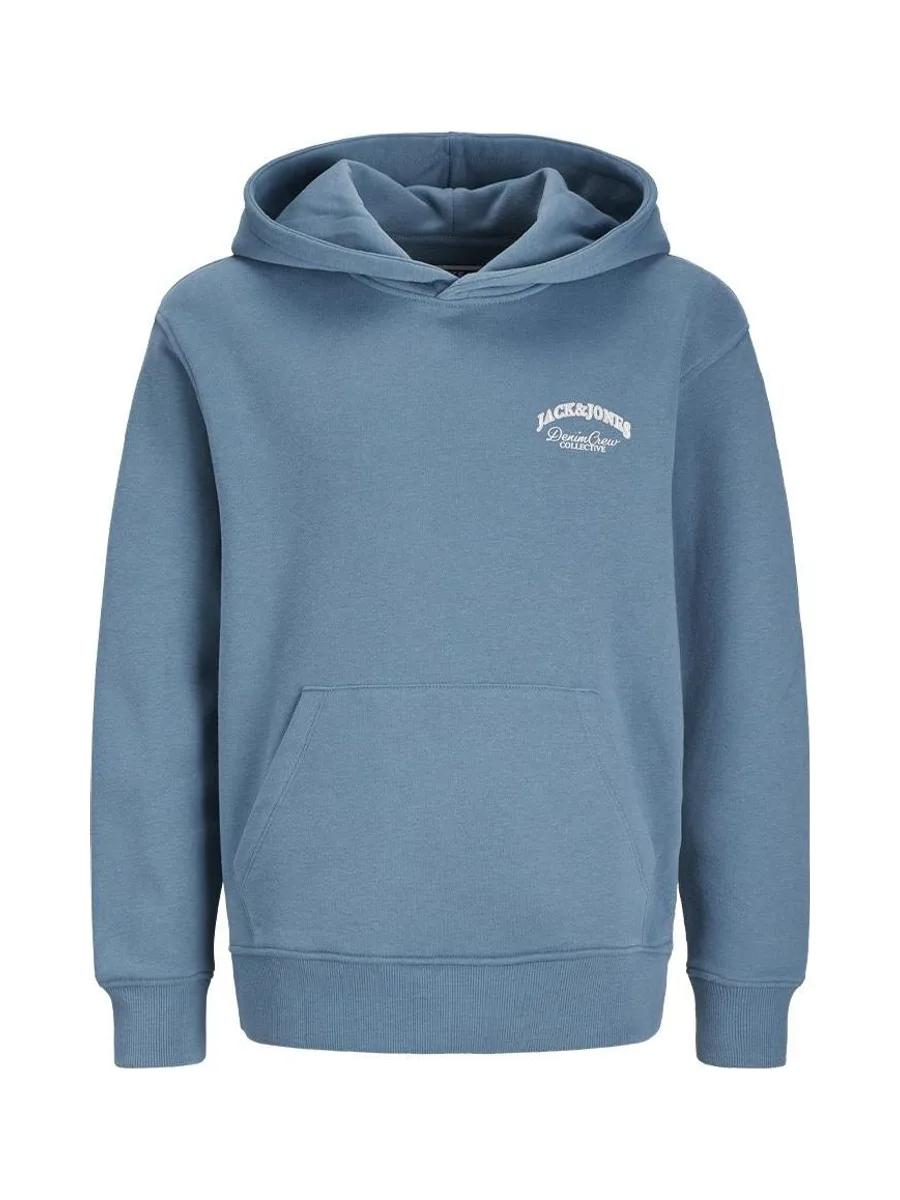 Sweat Bleu Foncé Garçon Jack & Jones Brandes 1