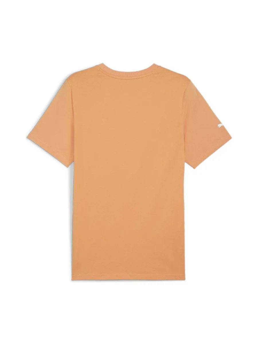 T-Shirt Orange Homme Puma Amg 3