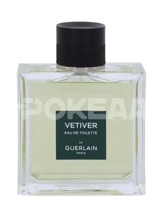 Guerlain Vetiver Edt Spray 100ml 2