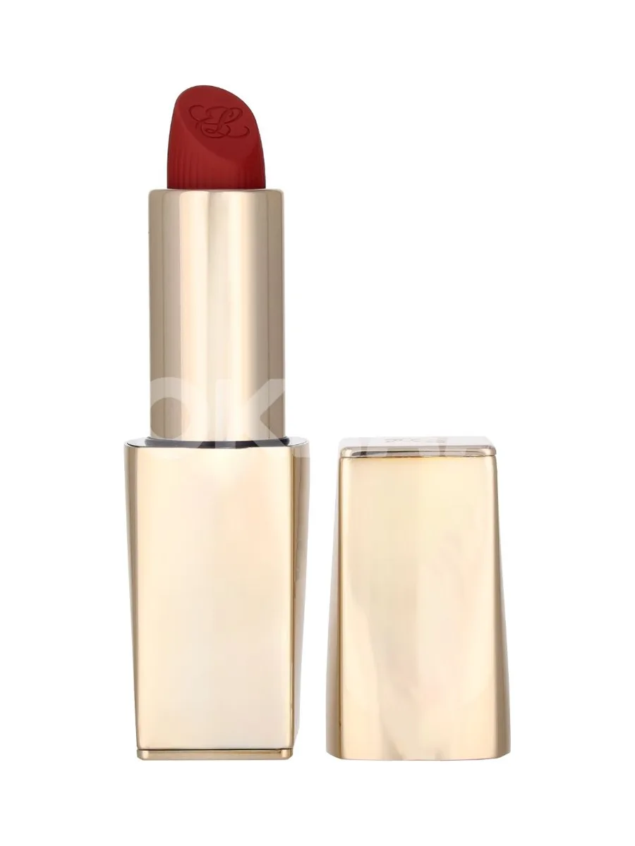 E.Lauder Pure Color Matte Refillable Lipstick 3.5g - #569 Fearless 2