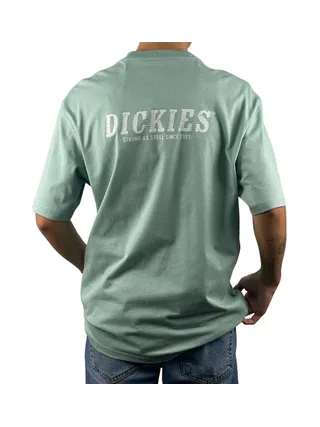 T-shirt Vert Homme Dickies Script Blue Surf 2