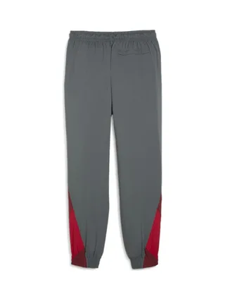 Milan AC Jogging de foot Gris Homme Puma 2024 2