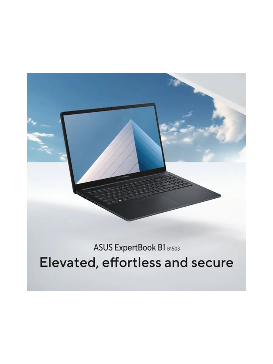 ASUS ExpertBook B1 B1503CVA-S78644X 13