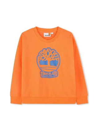 Sweat Orange/Bleu Garçon Timberland T60444 1