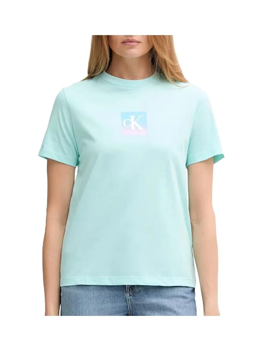 T-Shirt Turquoise Femme Calvin Klein Jeans Classic Boxed 1