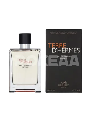Hermes Terre D'Hermes Eau Intense Parfum Spray 100ml 1