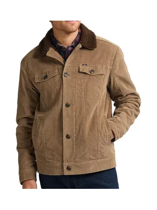 Veste Camel Homme Petrol Industries Padded 1