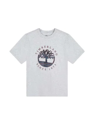 T-Shirt Gris Garçon Timberland T60292 Grey 1