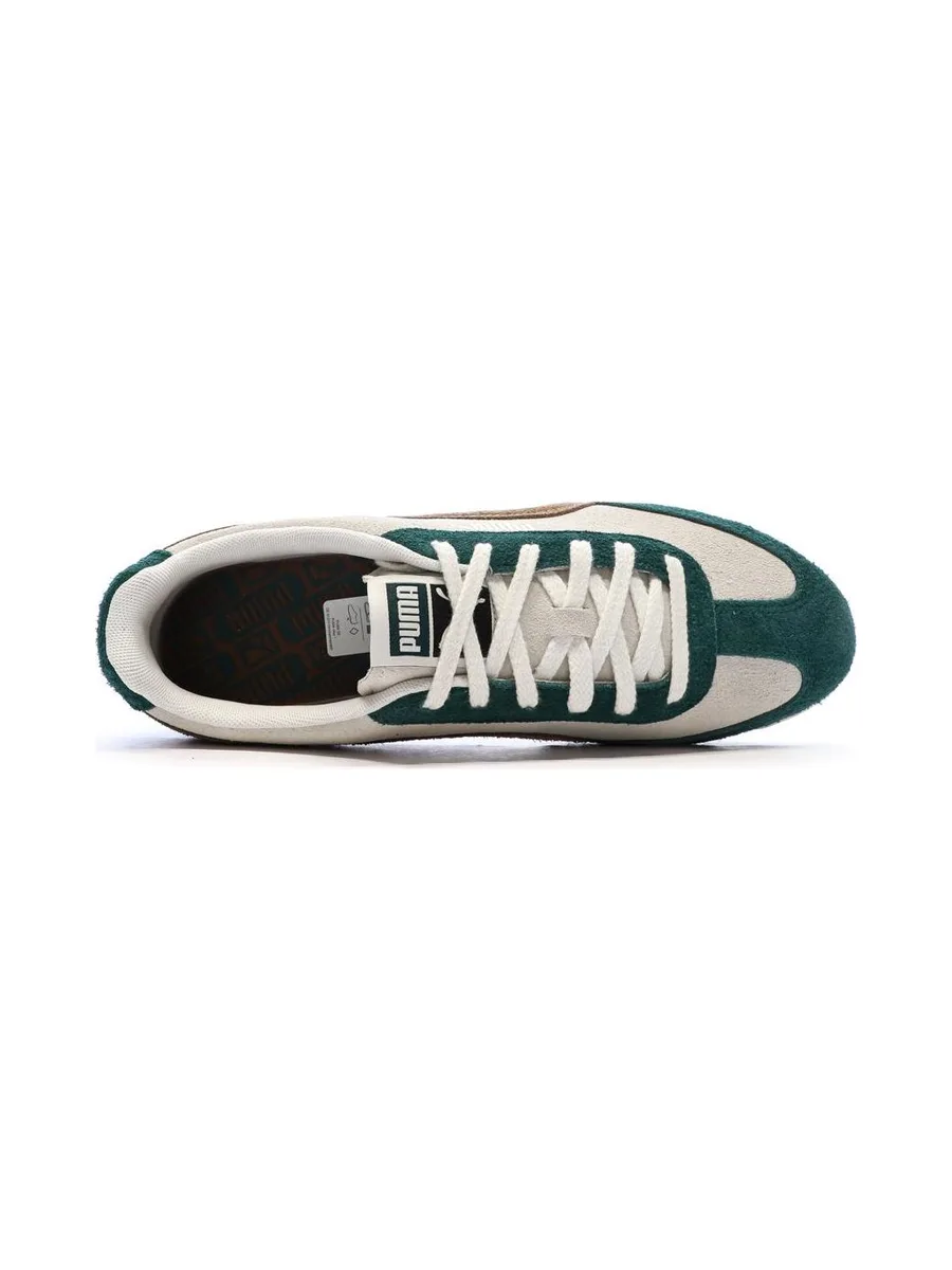 Baskets Vert/Beige Homme Puma Arizona Suede 5