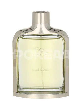Jaguar Classic Gold Edt Spray 100ml 2