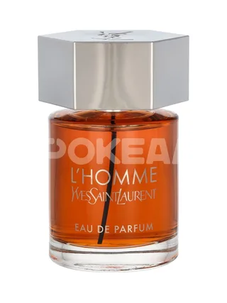 YSL L'Homme Edp Spray 100ml 2