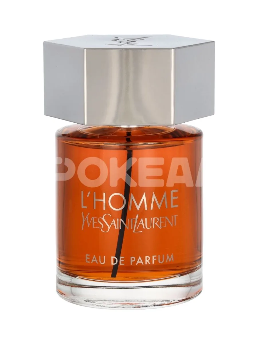 YSL L'Homme Edp Spray 100ml 2