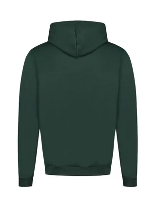 Sweat Vert Homme Le Coq Sportif Contemporain Sp Hoody N°1 2