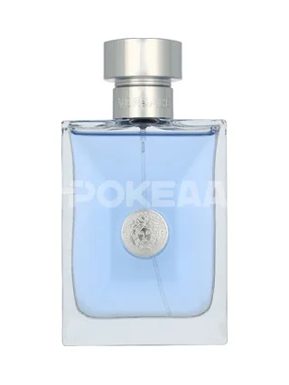 Versace Pour Homme Edt Spray 100ml 2