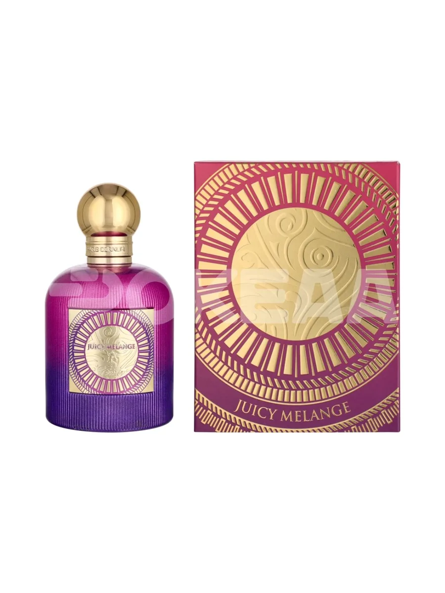 Paris Corner Emir Juicy Melange Edp Spray 100ml 1