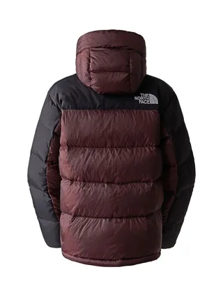 Doudoune Marron/Noire Femme The North Face Hmlyn 4