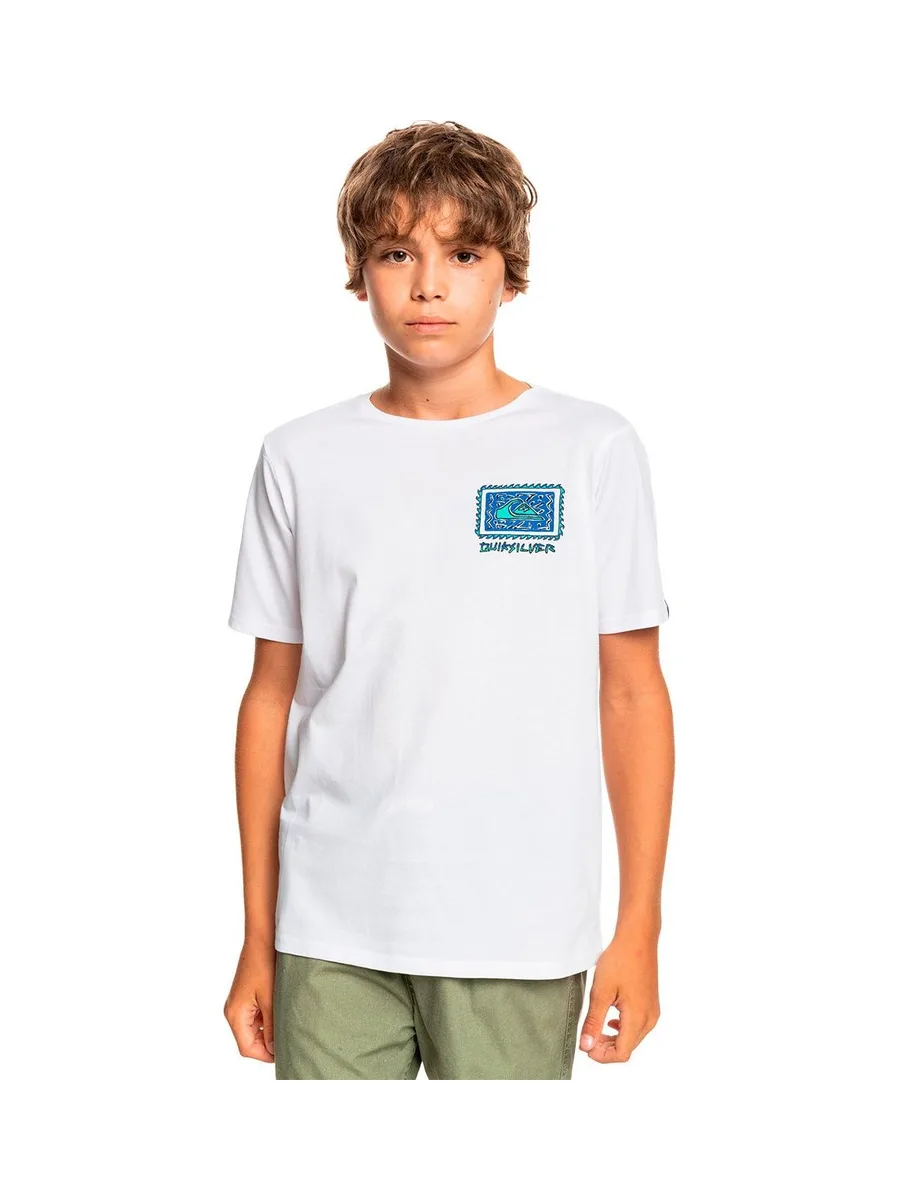 T-shirt Quiksilver Radical Roots Yth 2