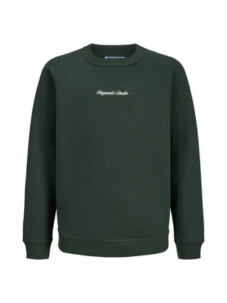 Sweat Vert Garçon Jack & Jones Norrebro 1