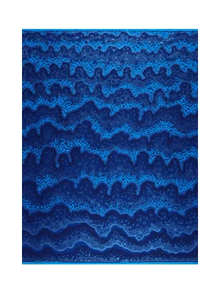 Vlisco Wax Hollandais 3