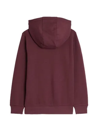 Sweat à Capuche Bordeaux Garçon Teddy Smith Evry1 2