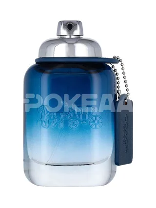 Coach Blue Edt Spray 60ml 2