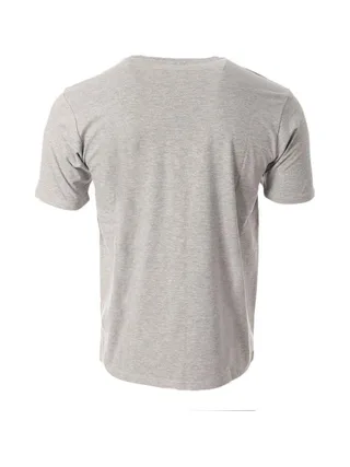 T-shirt Gris Homme Redskins Steelers 2