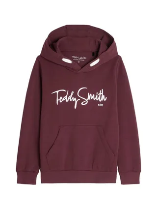 Sweat à Capuche Bordeaux Garçon Teddy Smith Evry1 1