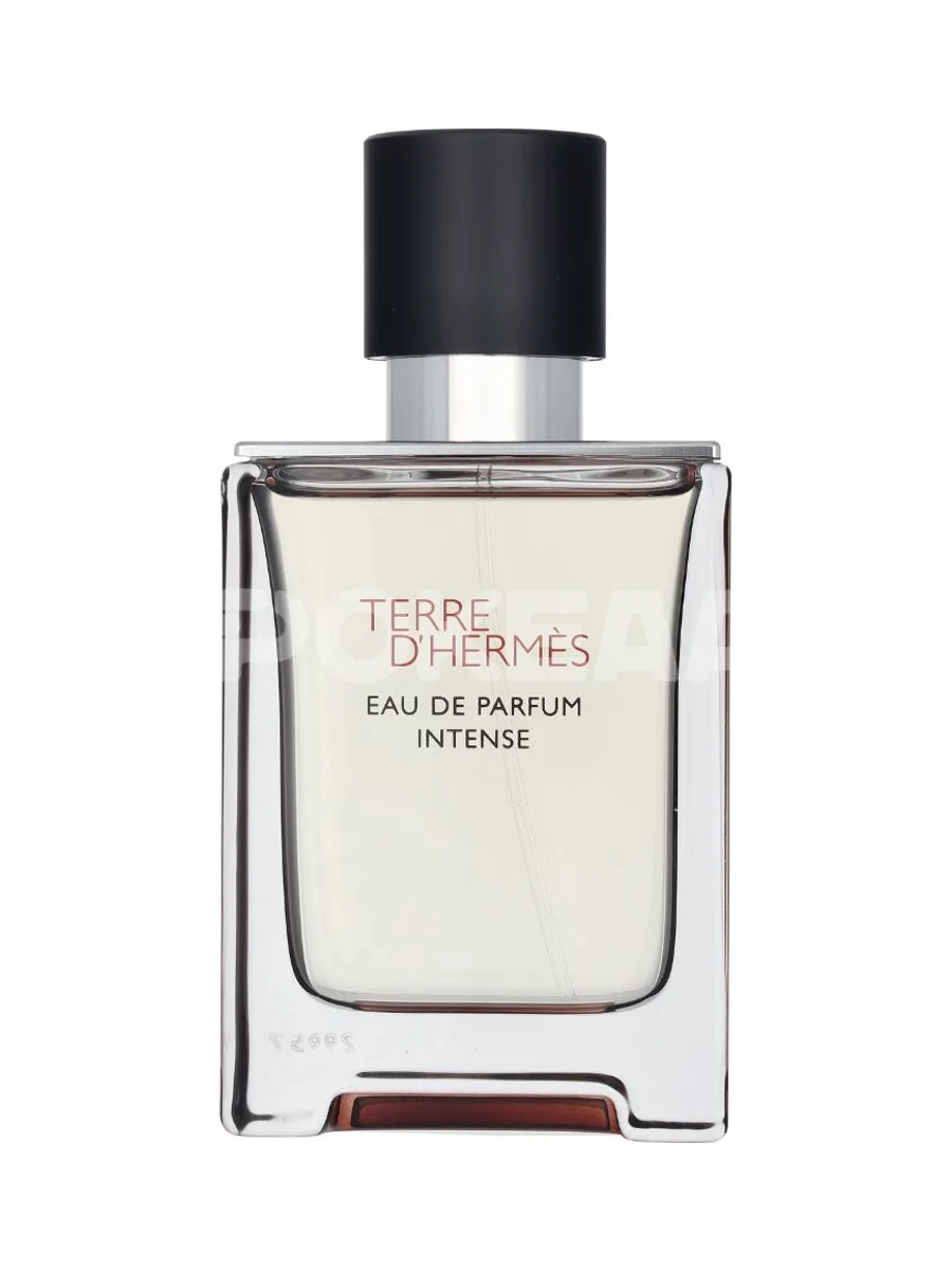 Hermes Terre D'Hermes Edp Spray Intense Refillable 50ml 2