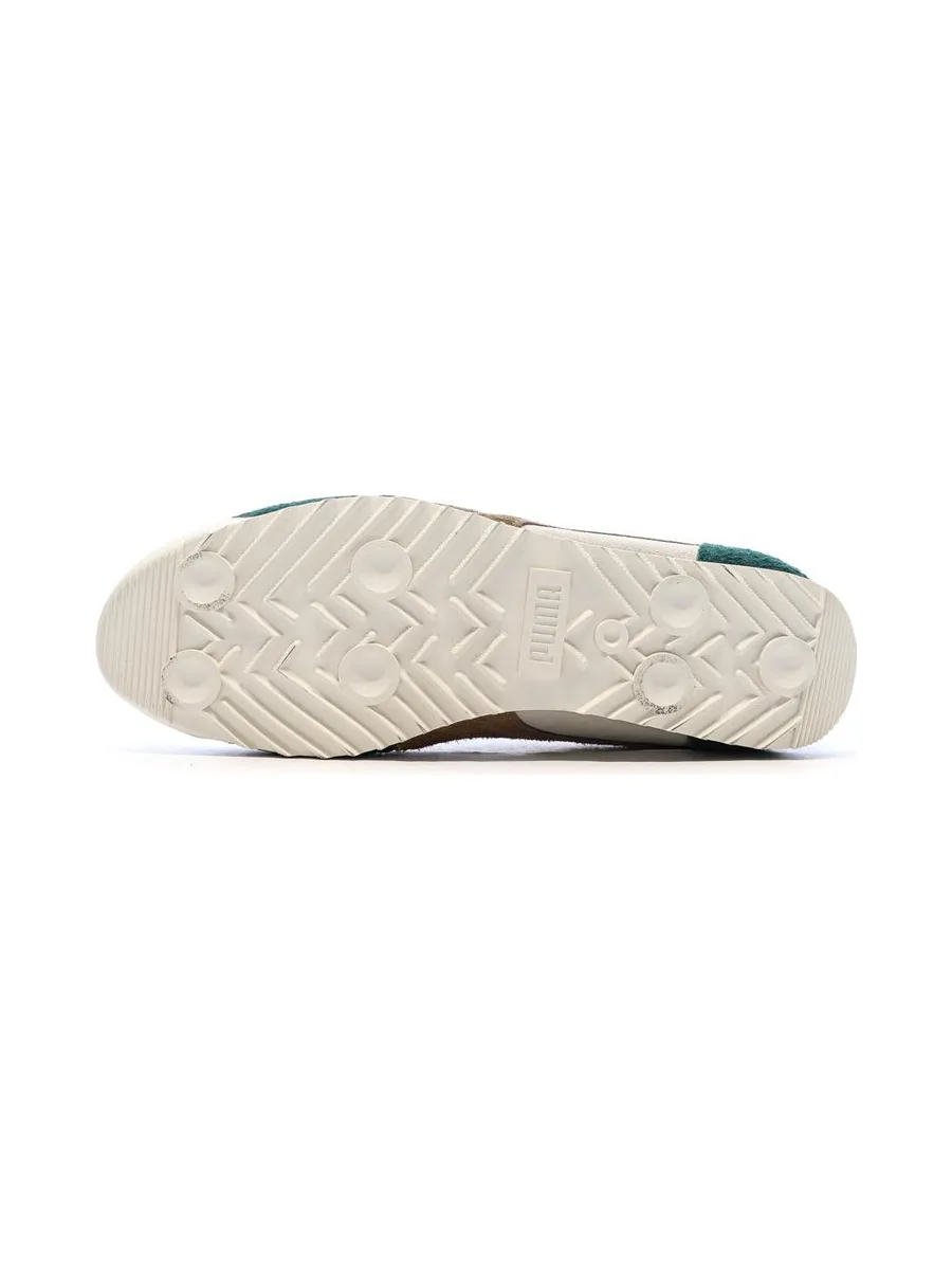 Baskets Vert/Beige Homme Puma Arizona Suede 6