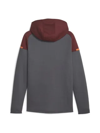 Manchester City Sweat Zippé Grise Homme Puma Casuals Hooded 2