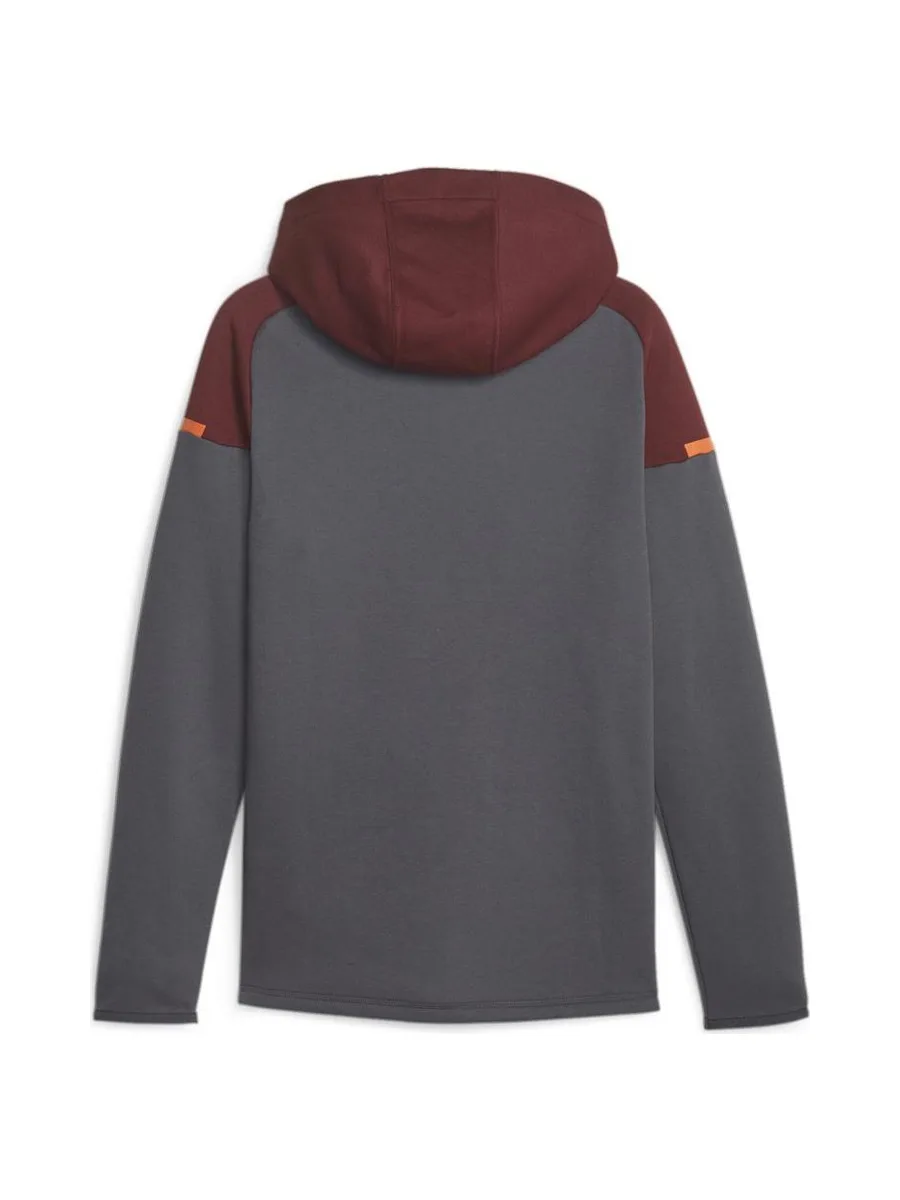 Manchester City Sweat Zippé Grise Homme Puma Casuals Hooded 3
