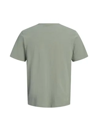 T-Shirt Vert Homme Jack & Jones Brandy 2