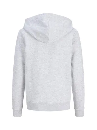 Sweat Gris Garçon Jack & Jones Lulu 2