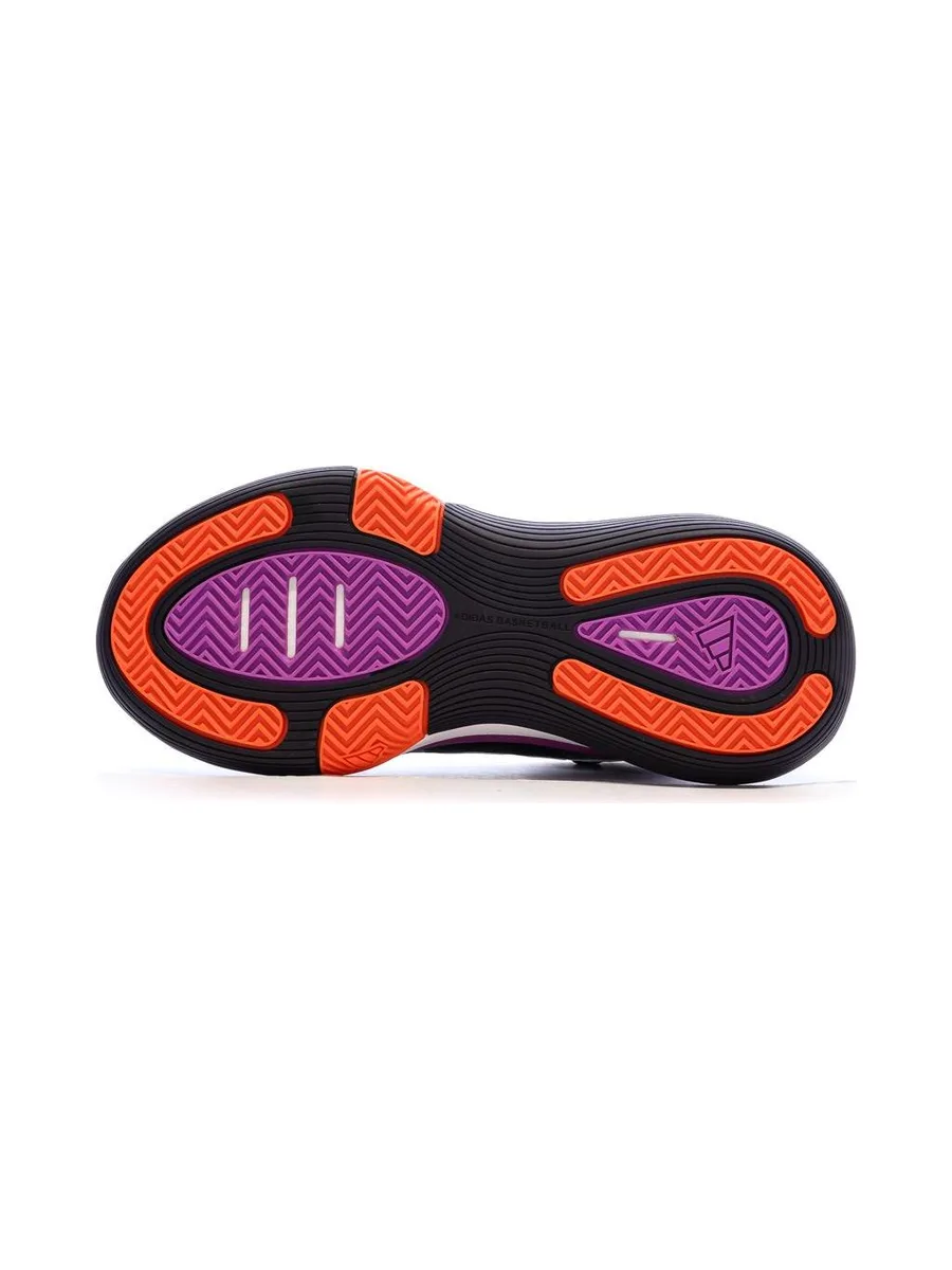 Chaussures de basketball Noires/Violettes Homme Adidas Bounce 6