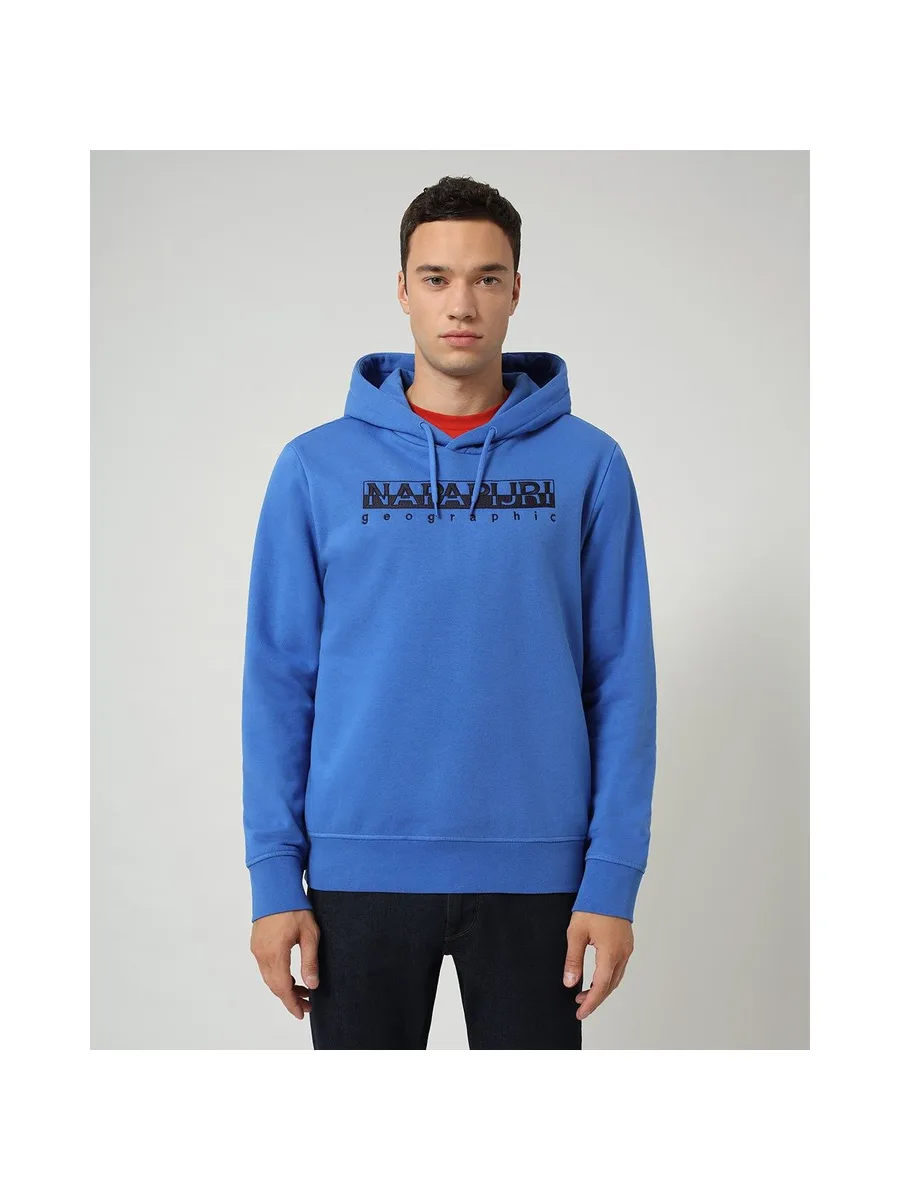 Sweat-shirt NAPARIJRI NP0A4ENCBE11 3