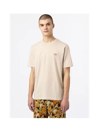T-shirt DICKIES DK0A4XDB 2