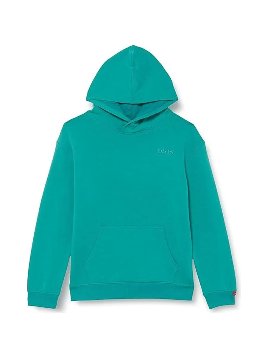 Sweat à capuche Vert Garçon Levi's 9ED475 2