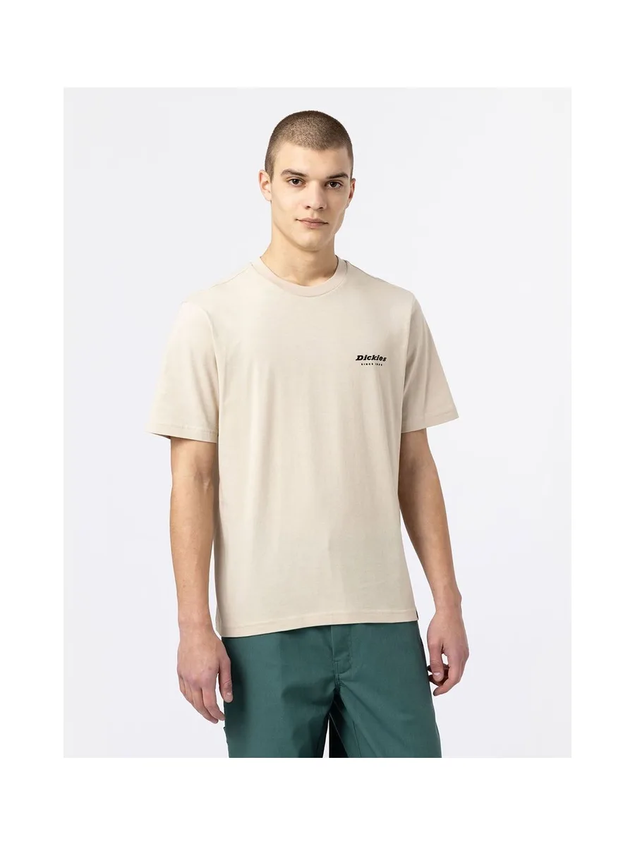 T-shirt DICKIES DK0A4XNY 12