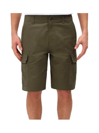 DICKIES DK0A4XED - Short 1