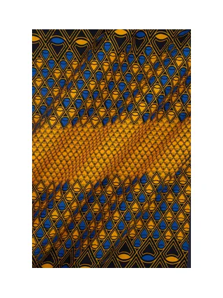 Vlisco Wax Hollandais 2