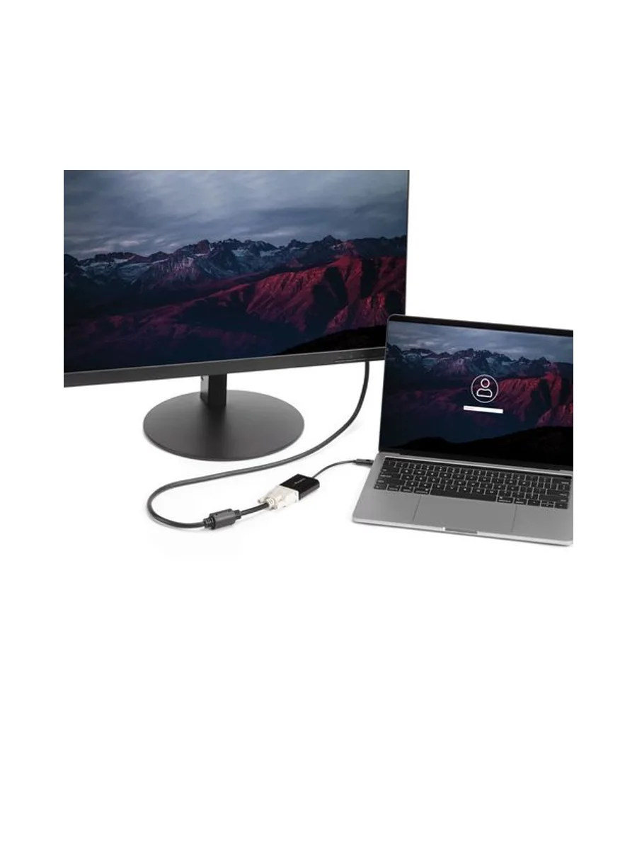 StarTech.com CDP2DVI USB graphics adapter 5