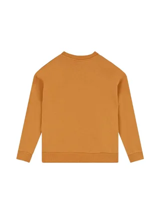 Sweat Jaune Garçon Timberland T60315/589 2